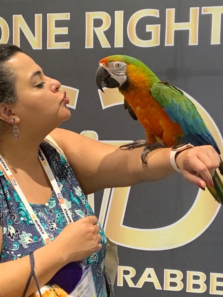 NAA Expo Parrot